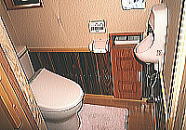 gC